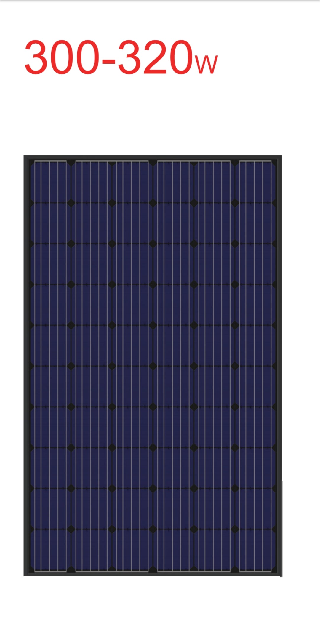 SAE 305 Watt Monocrystalline Solar Panel